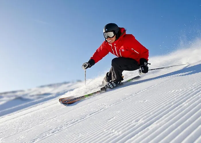 호텔 Romana 파나노