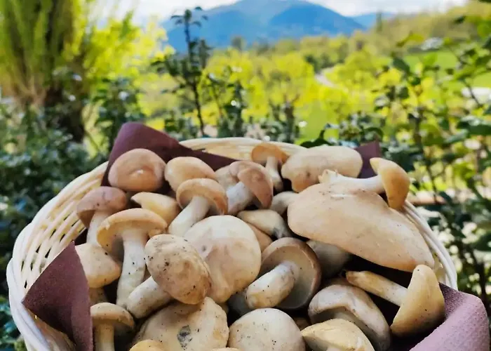 Romana Szálloda Fanano